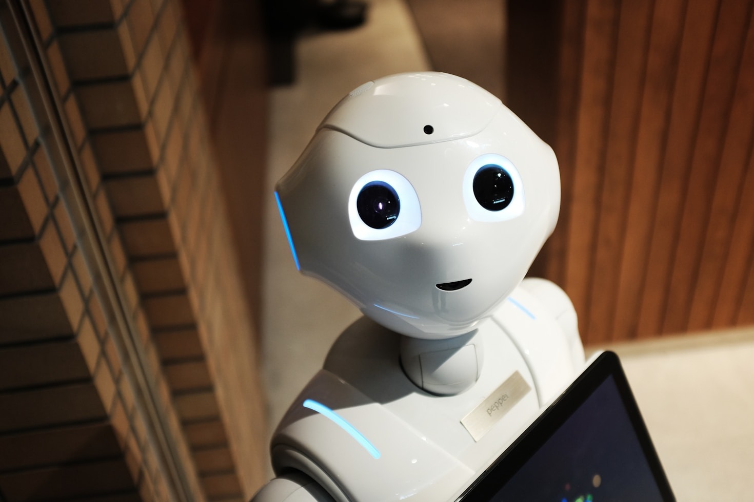 The Future of E-Commerce with AI Innovations